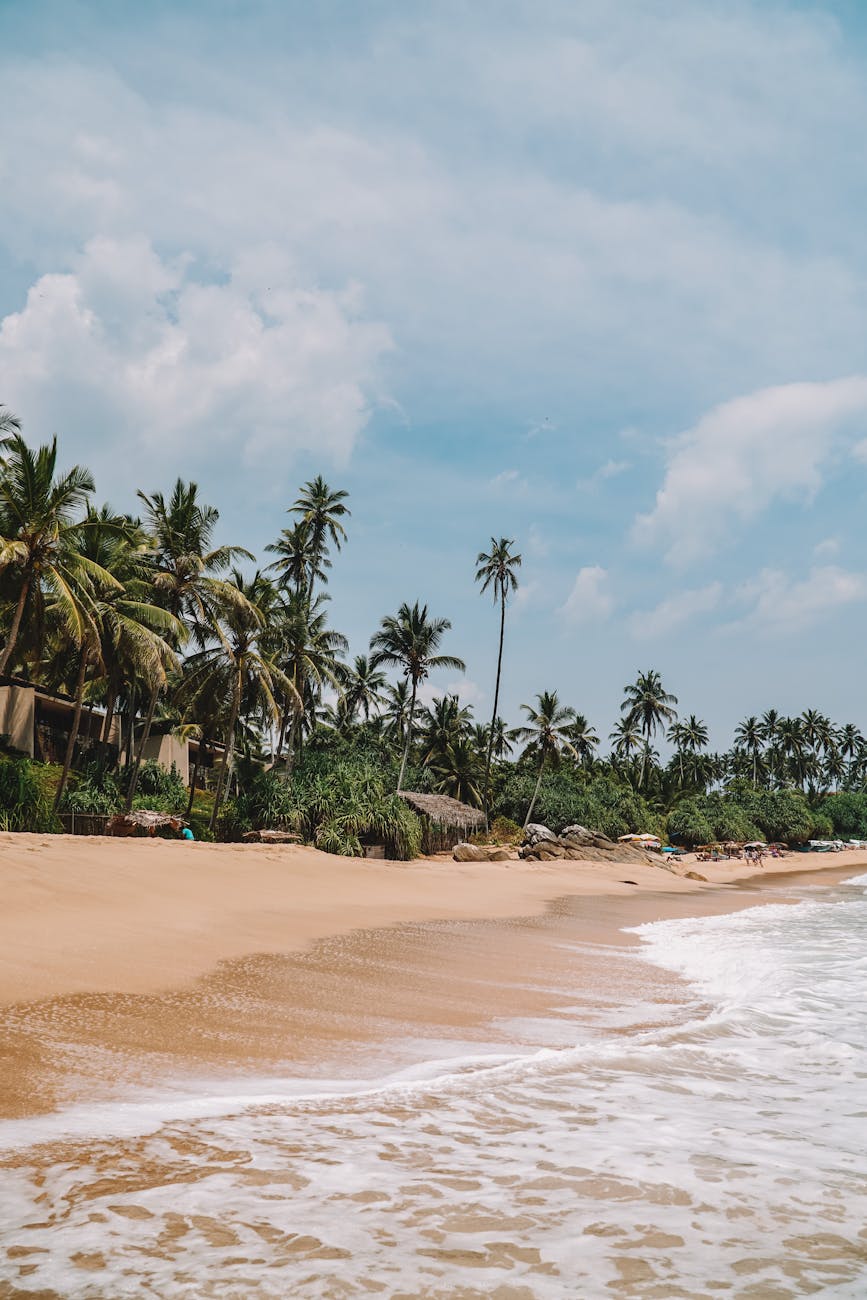 Beaches, wildlife, and Galle Fort in Sri Lanka