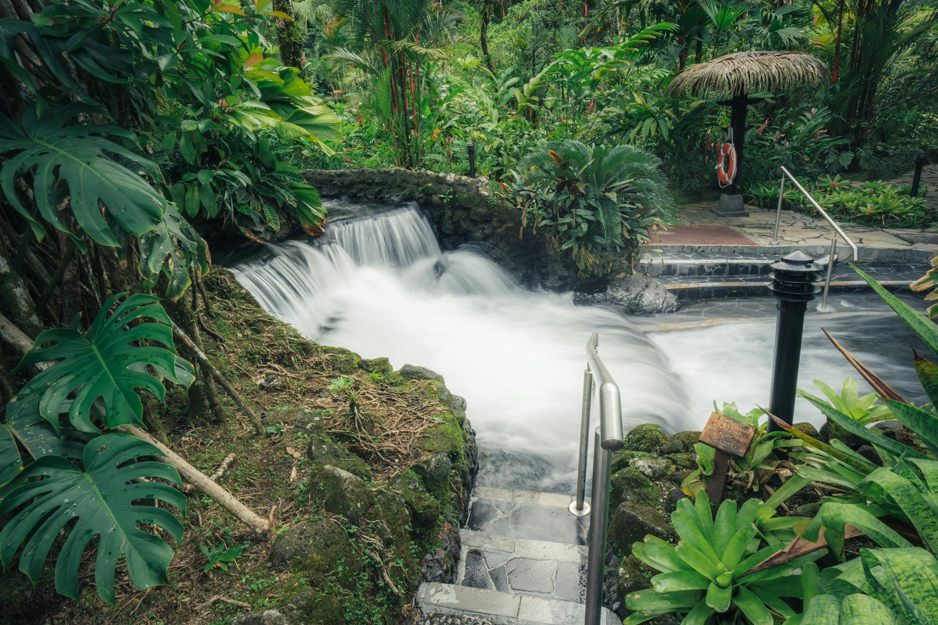 Dominica destination