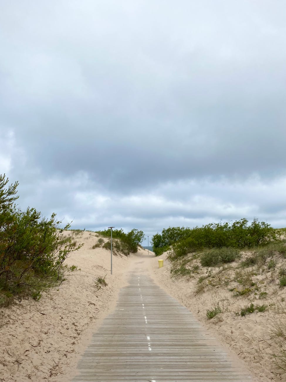 Curonian Spit—dunes and Baltic Sea in Lithuania