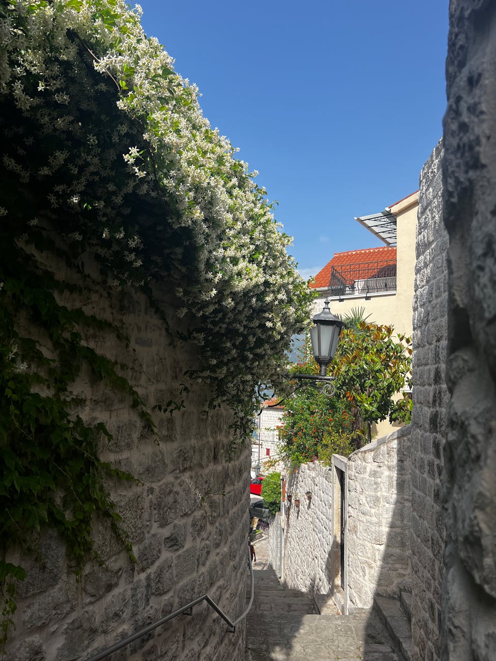 Bay of Kotor—fjord without leaving the Mediterranean in Montenegro