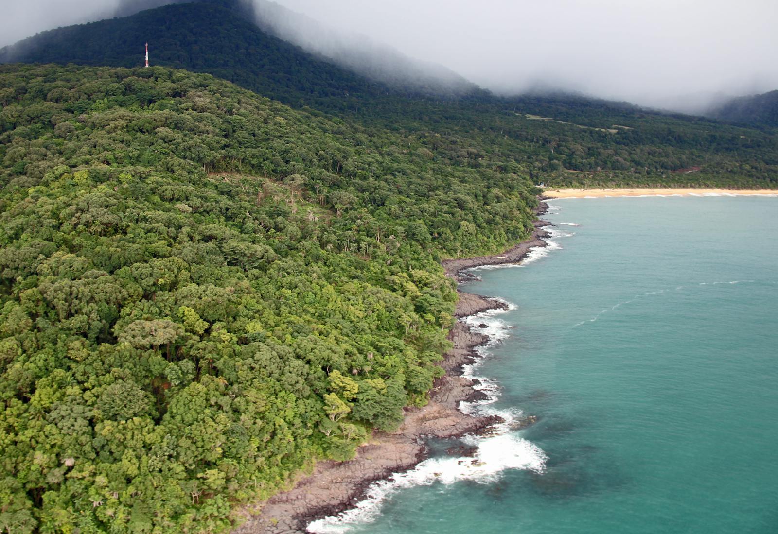 Aerial view of the tropical coastline of Sierra Leone with lush green forested hills meeting the Atlantic Ocean