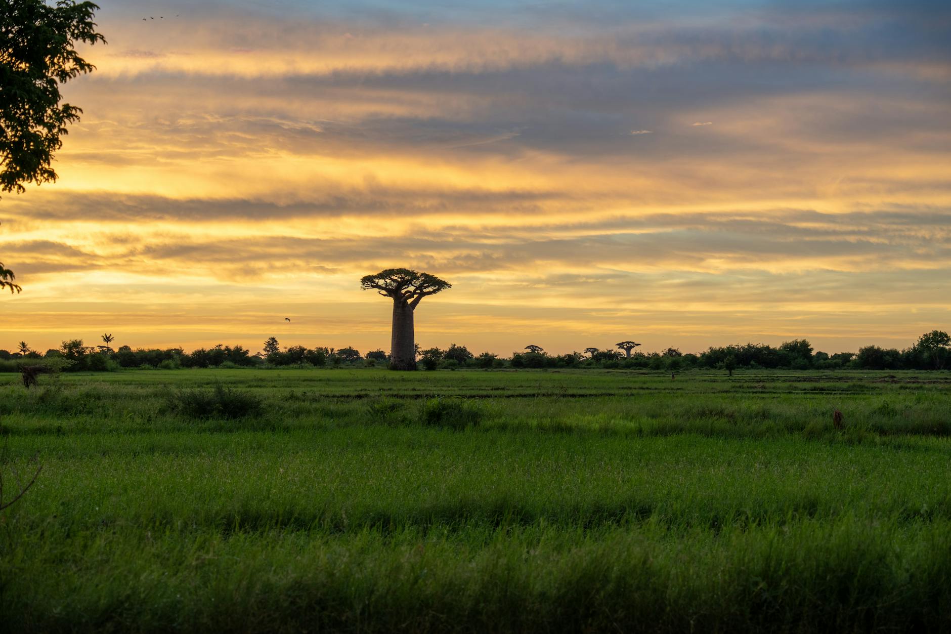 Madagascar destination