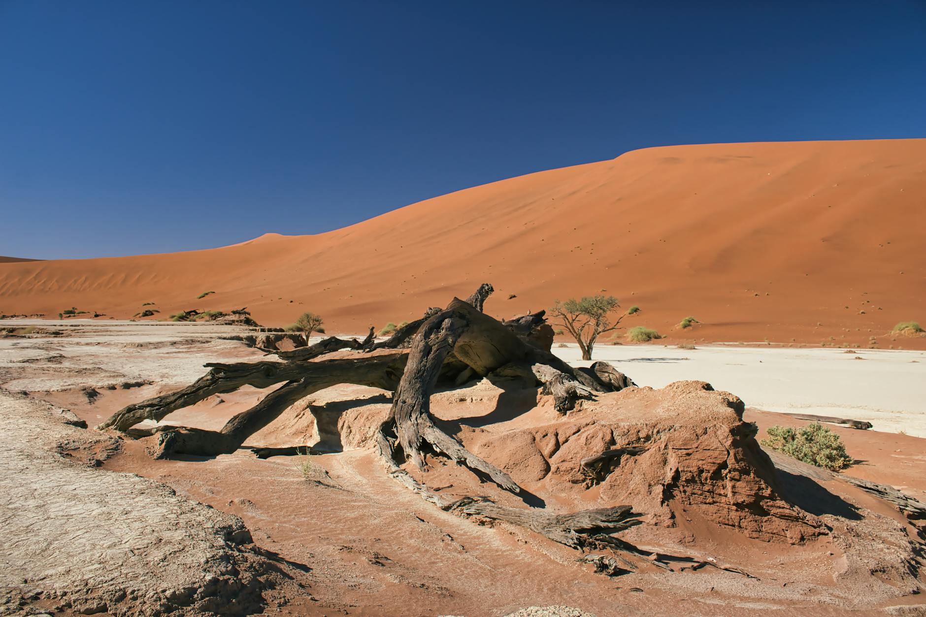 Sossusvlei red dunes in Namibia