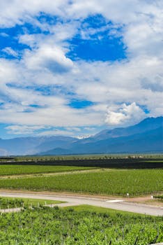 Zuccardi Valle de Uco vast vineyard landscape Tunuyán Mendoza Andes Argentina