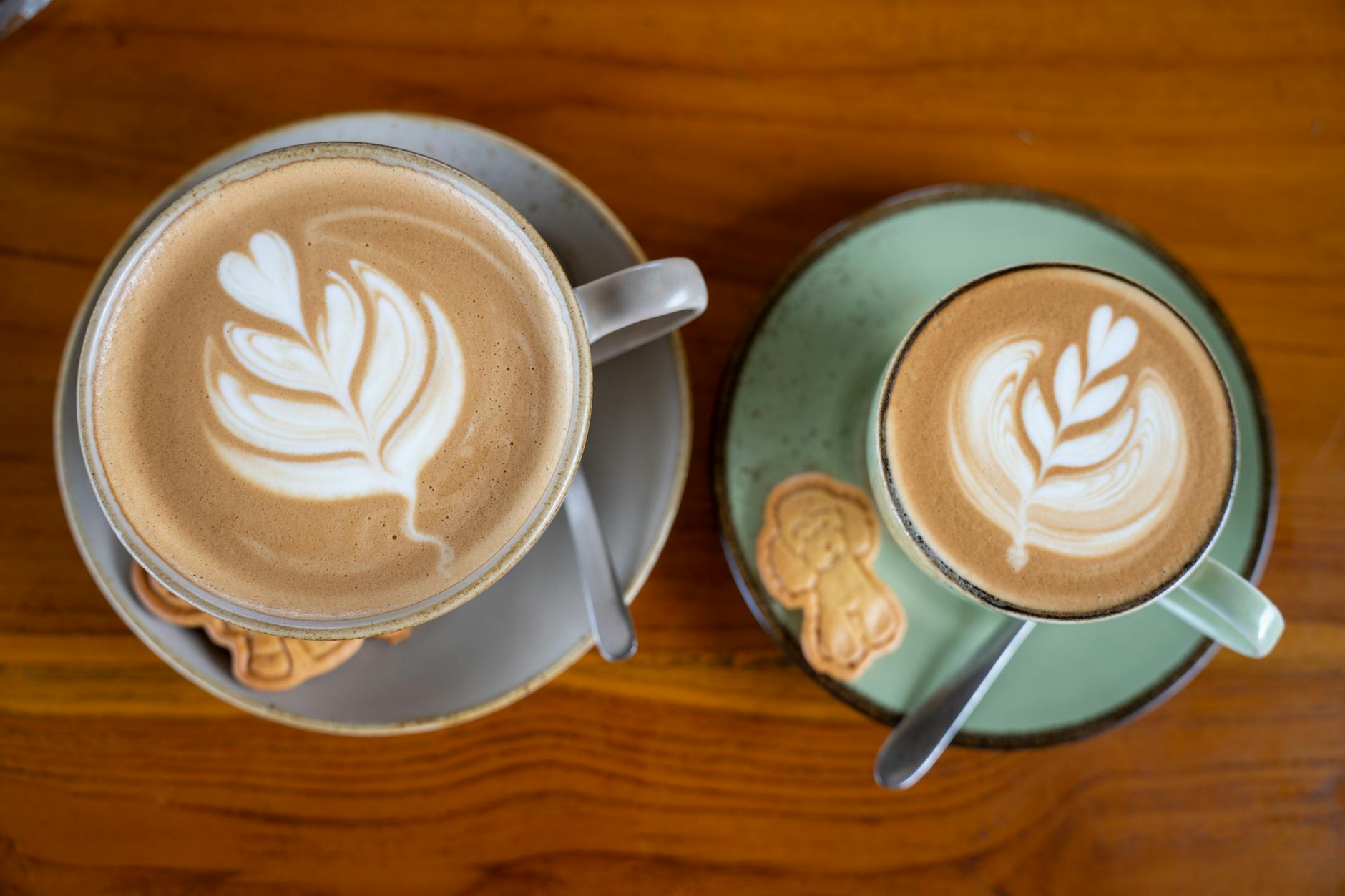 Belgian café coffee cup speculoos biscuit warm light table