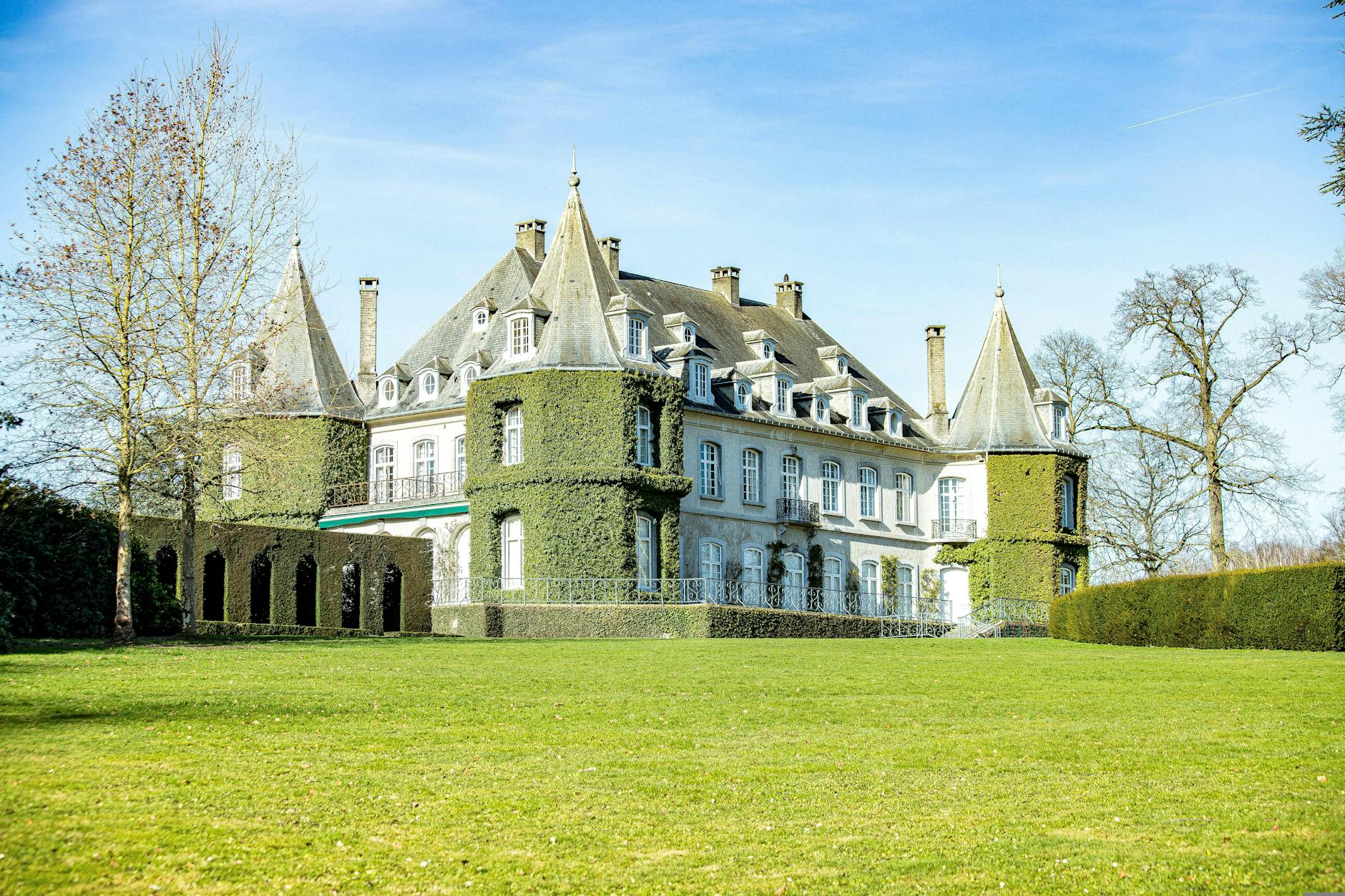 Wine castle chateau vineyard Belgium sunny rows