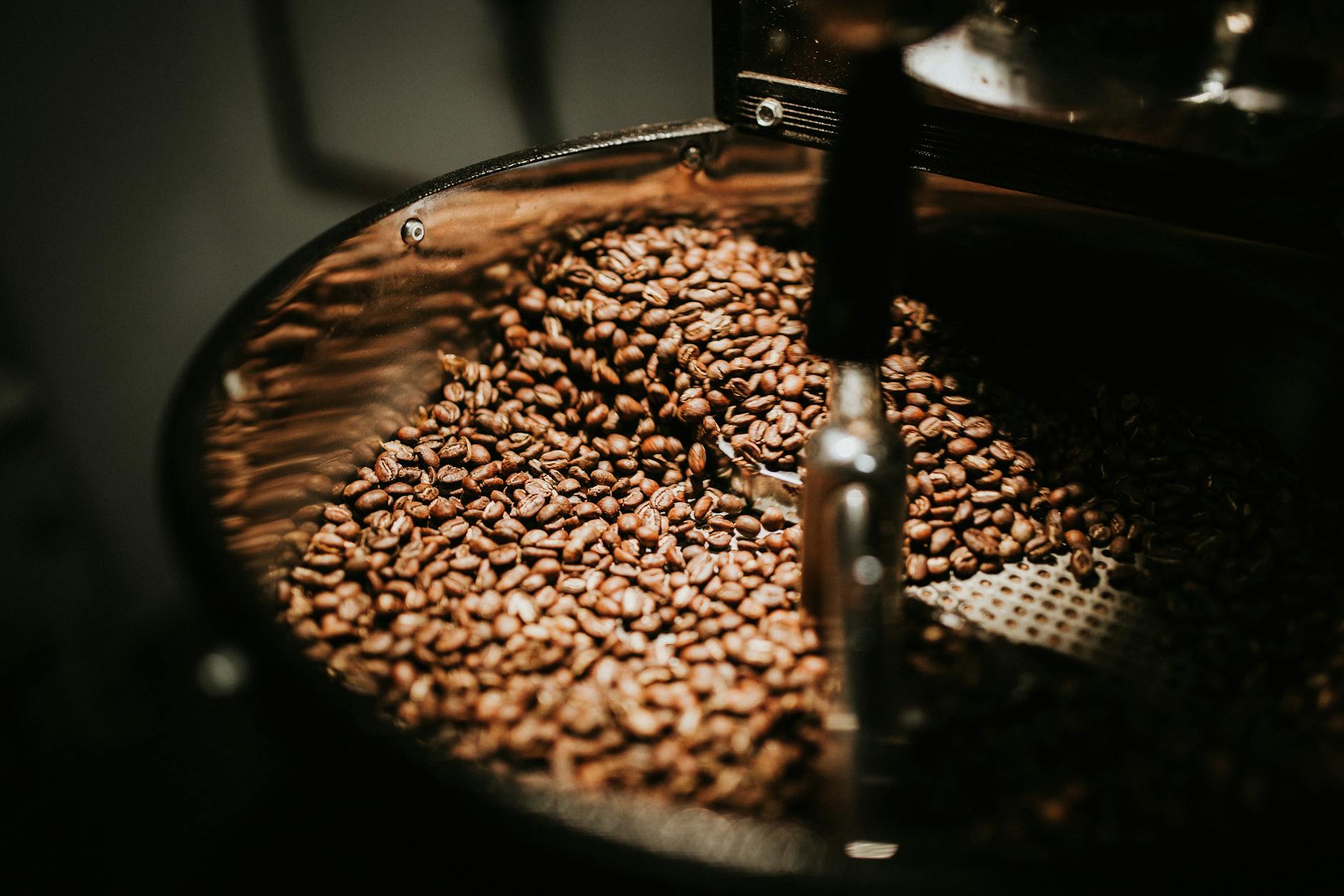 Octavio Café São Paulo Brazil specialty coffee Quércia family Alta Mogiana farm direct trade roastery espresso