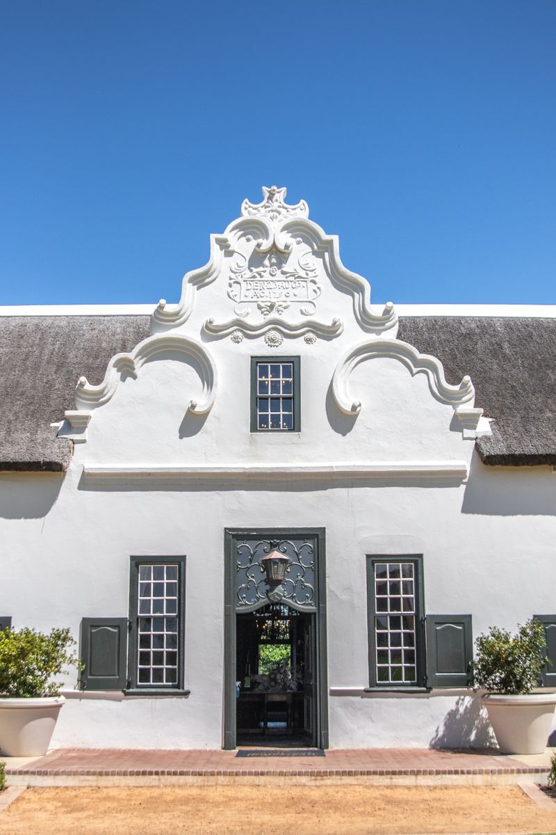 Whitewashed Cape Dutch wine estate manor house with a curved gable and oak trees