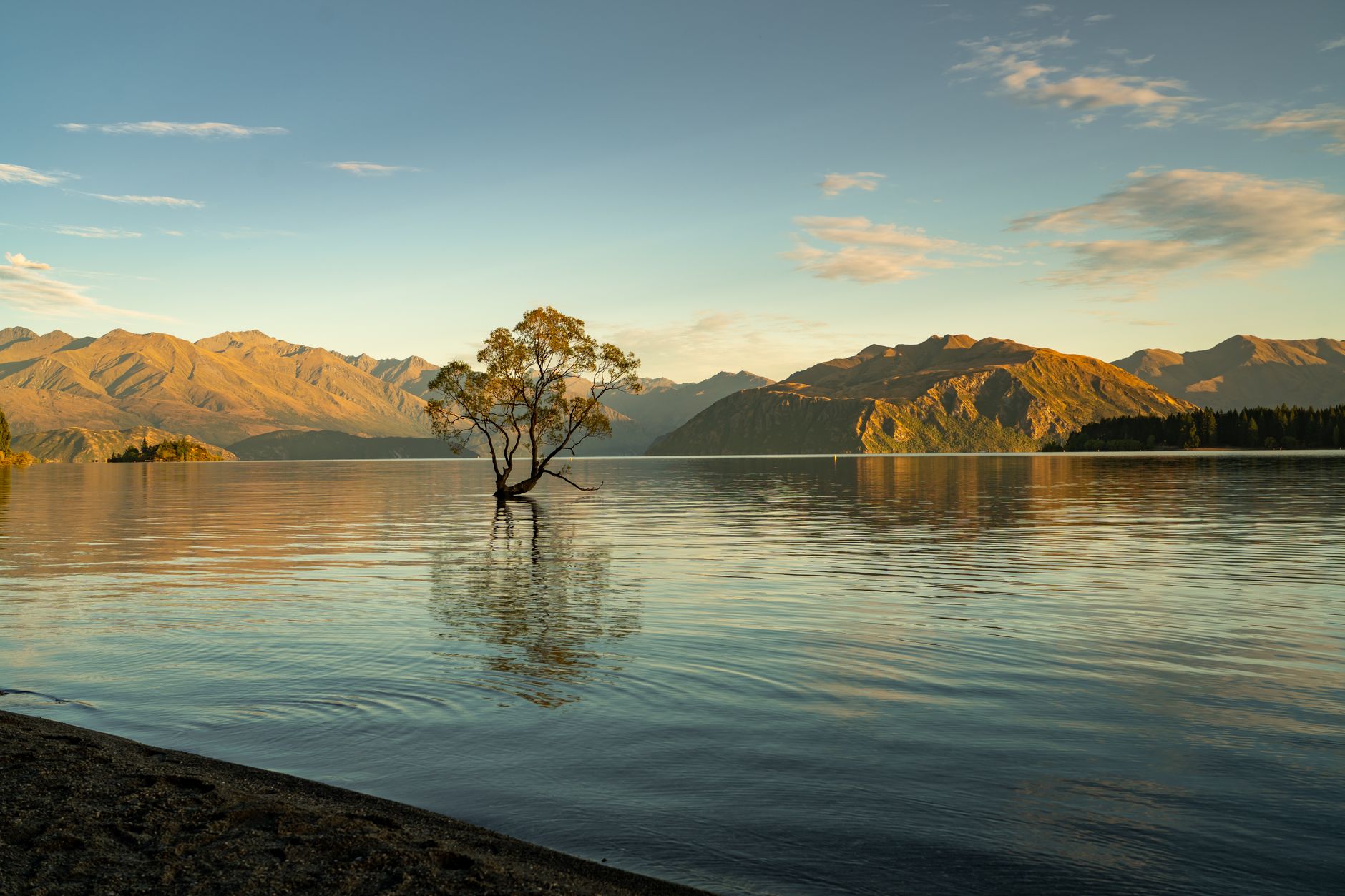 Lake Wānaka with snow-capped Southern Alps behind and dry tussock hills in Central Otago