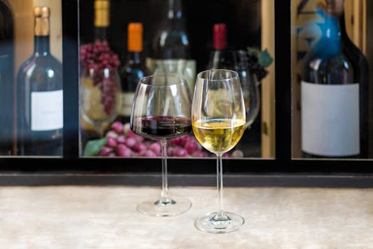 Tanino restaurant Casas del Bosque vineyard Casablanca wine and food pairing dining