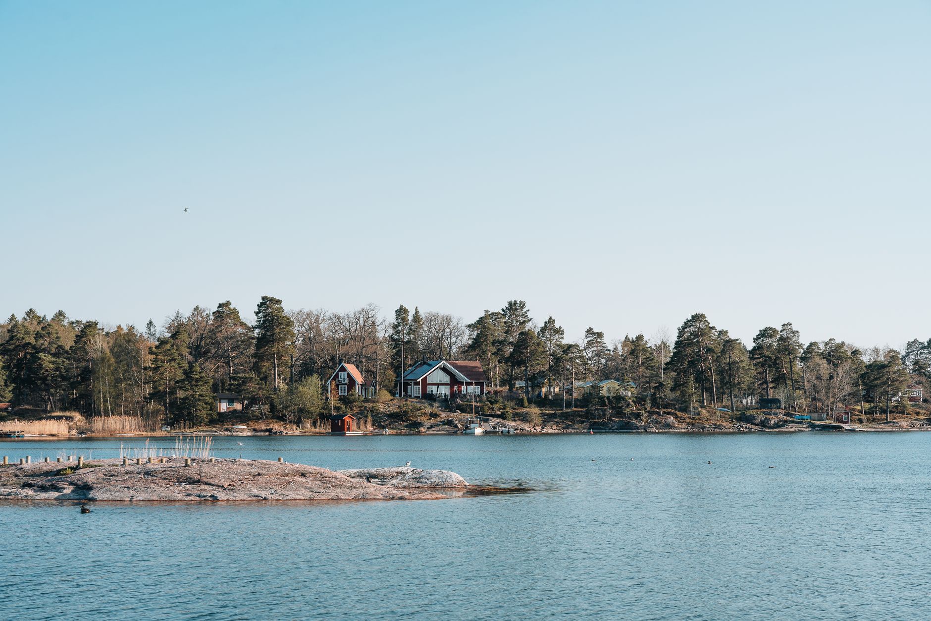 Red timber cottages on the wooded shore of Lake Siljan under a pale summer sky