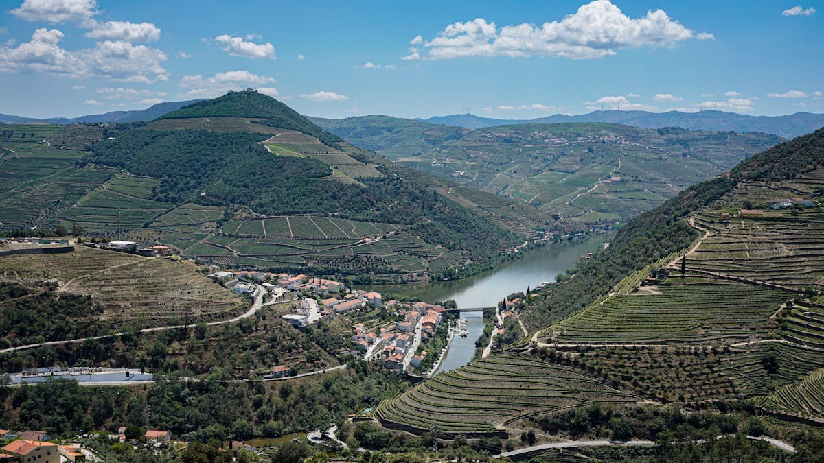 Terraced vineyards sweeping down to a bend in the Douro river under a clear sky