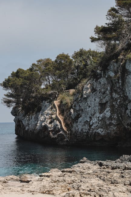 Turquoise water and pine cliffs at a Mallorca cove beach