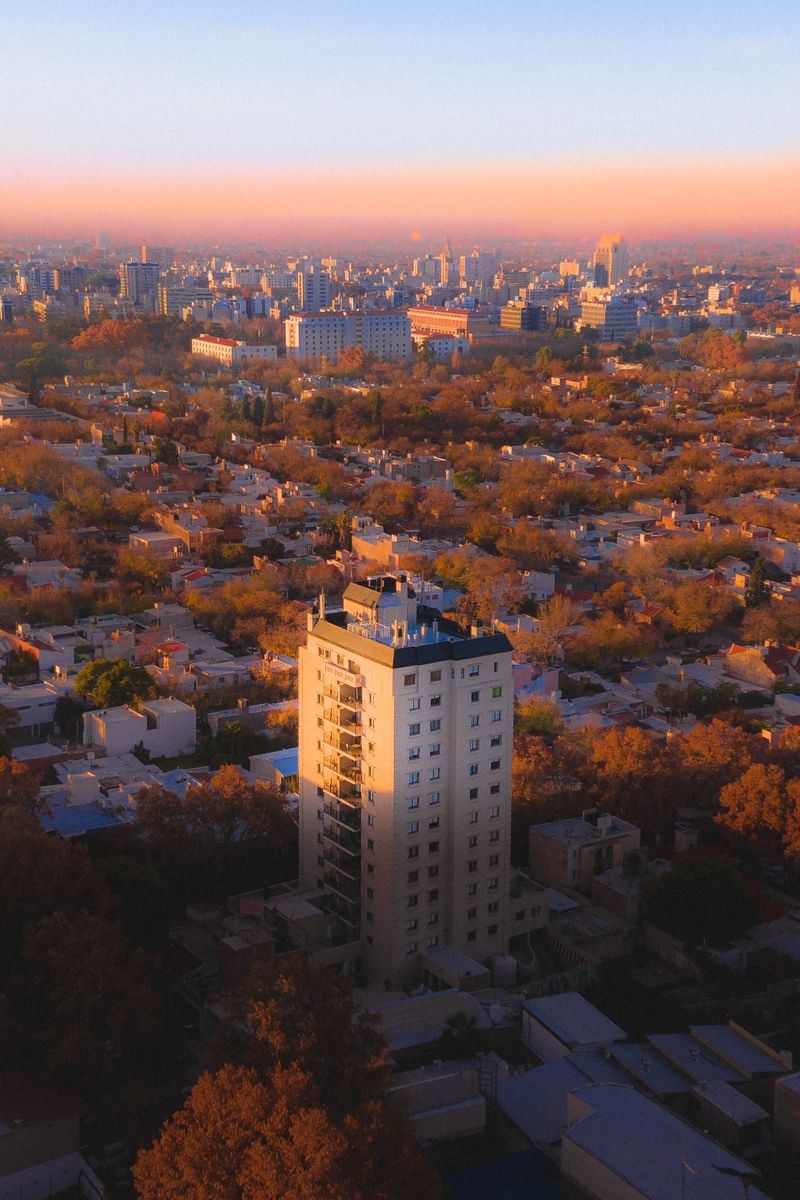 Tree-lined street with an irrigation channel in the city of Mendoza
