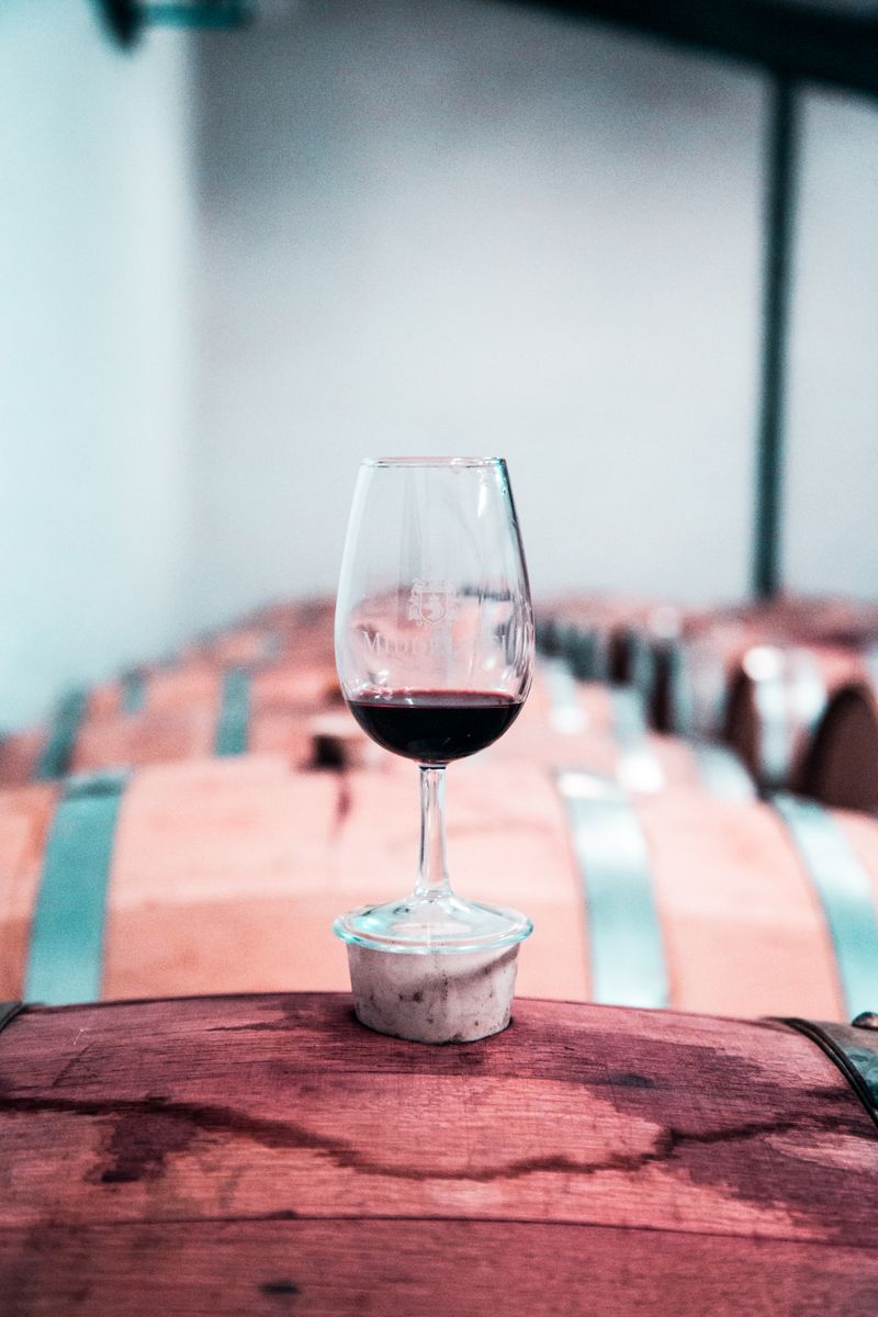 Oak barrels and a glass of red wine in a Mendoza bodega cellar
