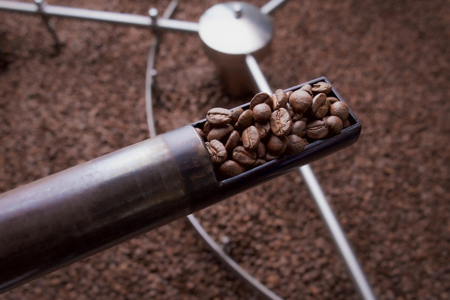Ionoff Roasting specialty coffee Herceg Novi Bay of Kotor Montenegro Bokeljski blend Q grader