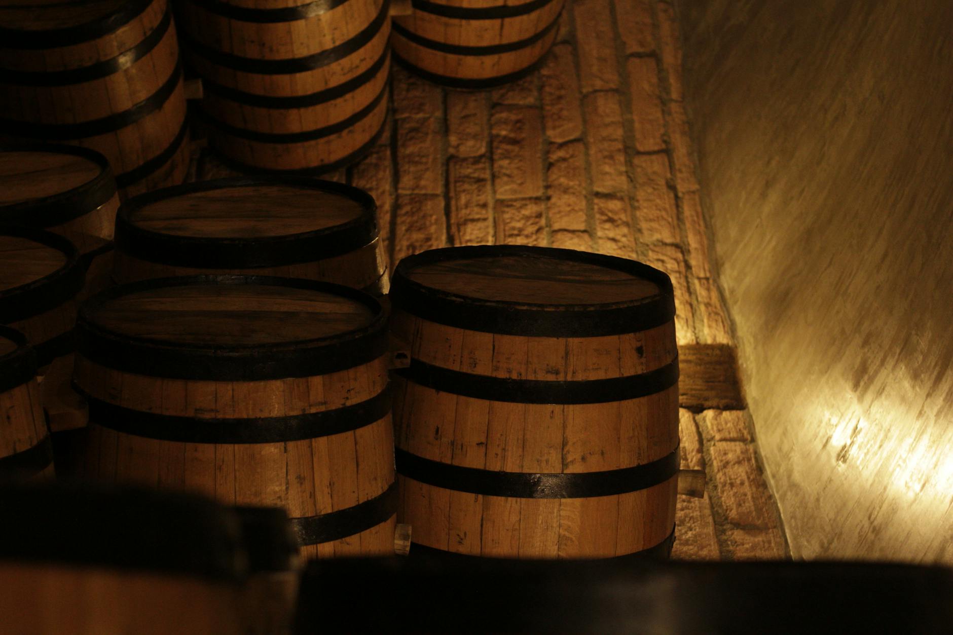 Vinarija Kopitovic Crmnica family winery stone cellar wine barrels Donji Brceli Montenegro