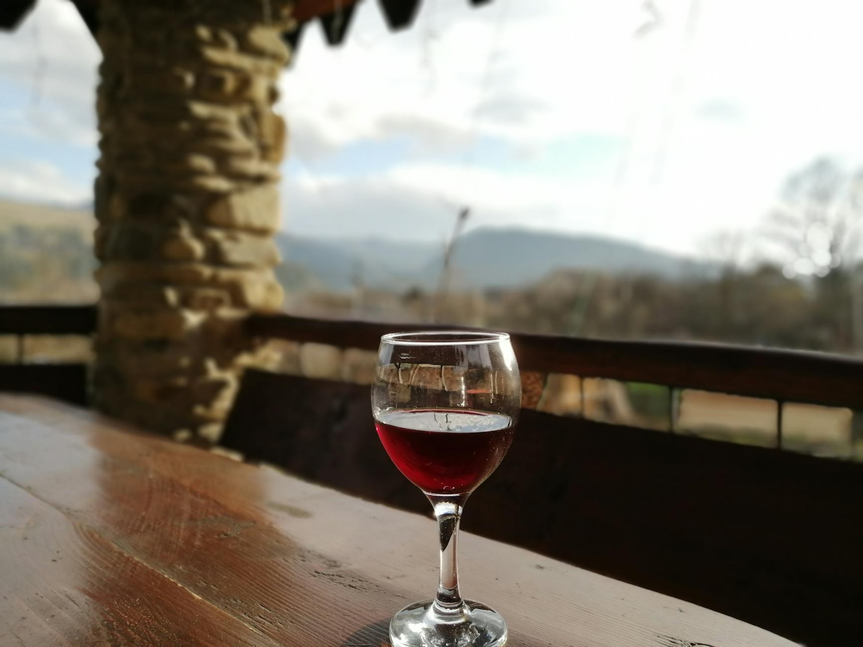 Vinarija Vukicevic Beri Podgorica Montenegro Vranac winery family two wolves logo