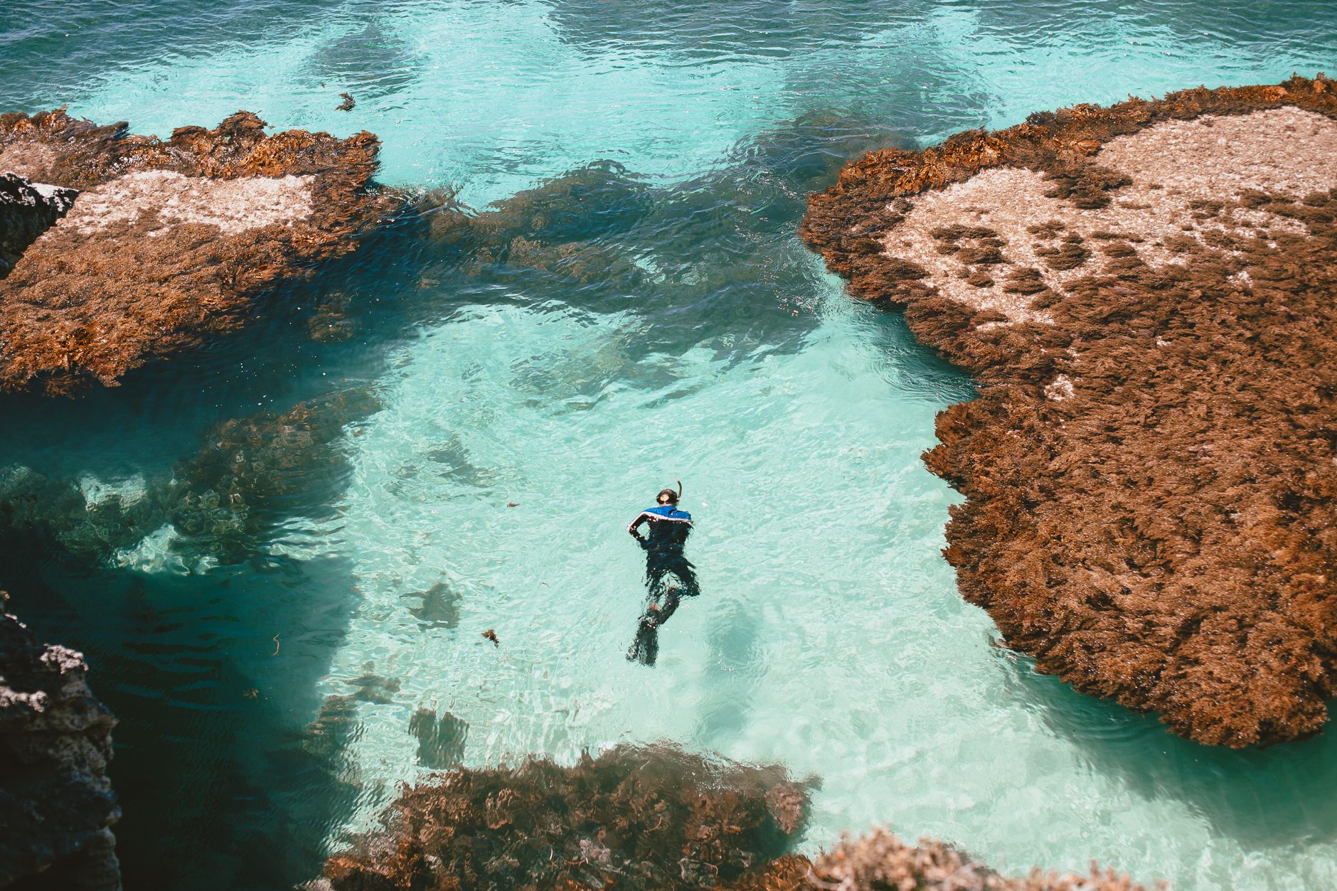 Snorkeller gliding over a turquoise fringing reef straight from shore