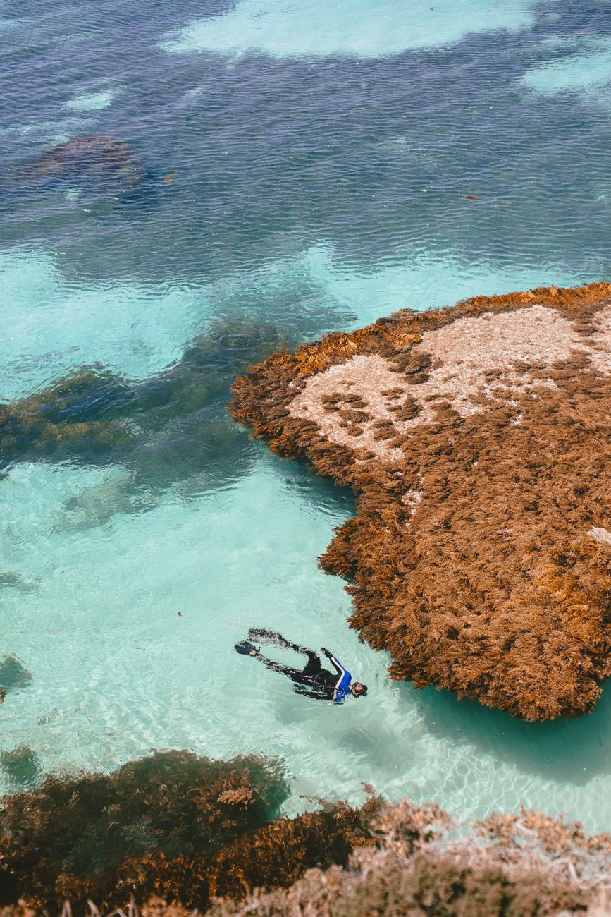 Snorkeller drifting over shallow coral in Ningaloo's turquoise lagoon