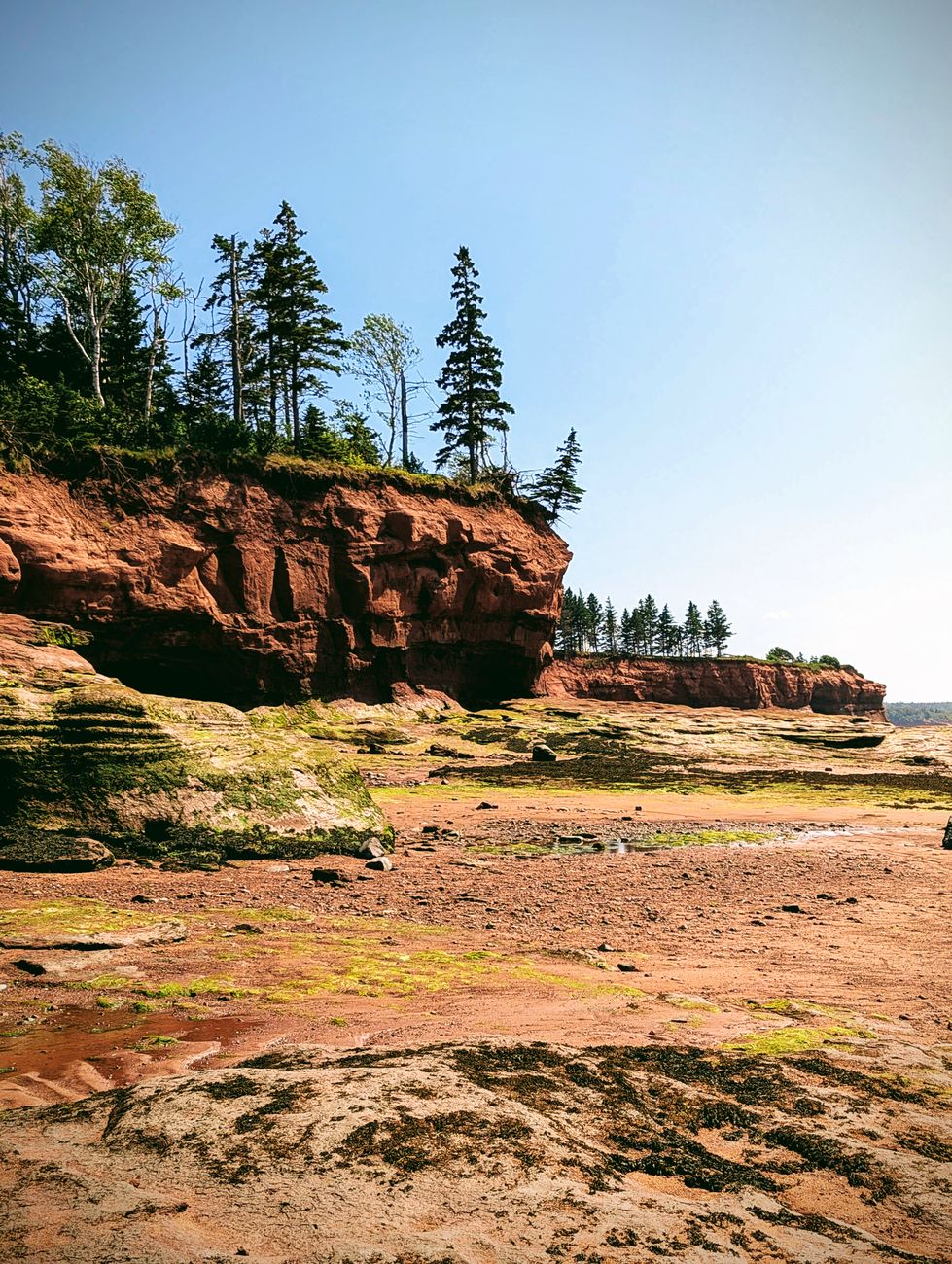 Exposed red sea-stacks on the ocean floor at low tide at Burntcoat Head in the Bay of Fundy