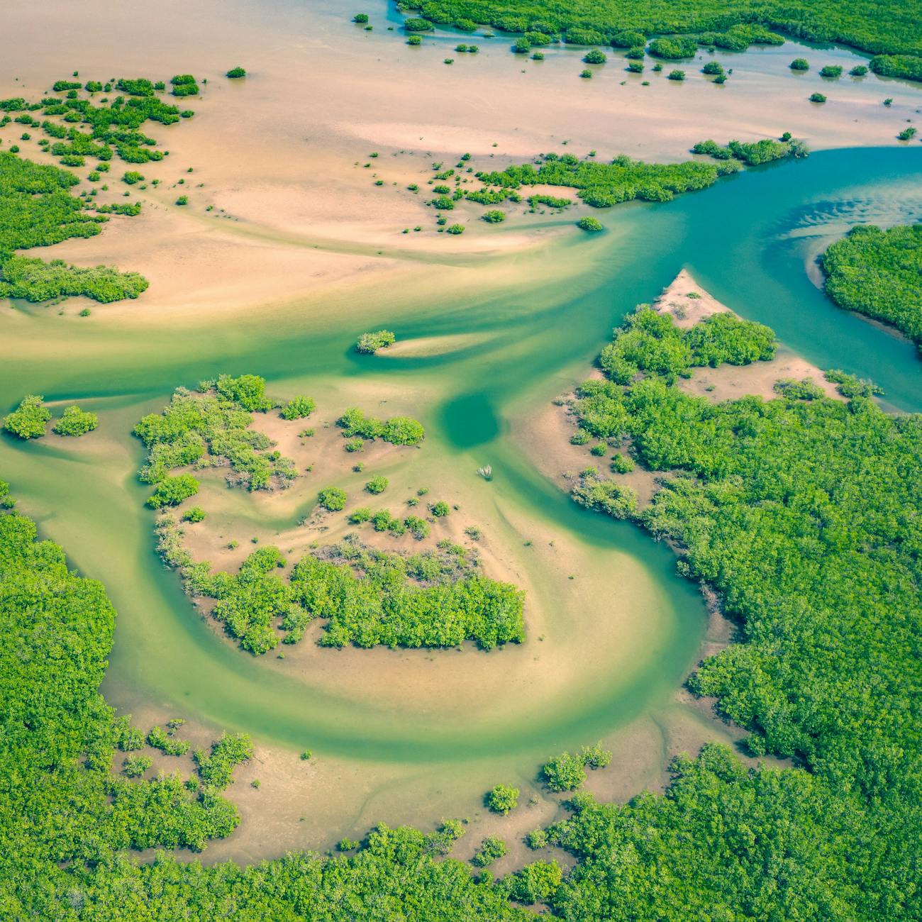 Aerial view of scenic river winding through tropical forest in Senegal