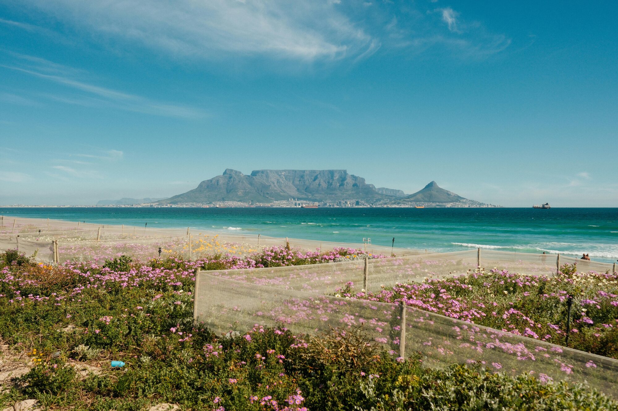 Table Mountain with wildflowers on a clear day in Cape Town South Africa