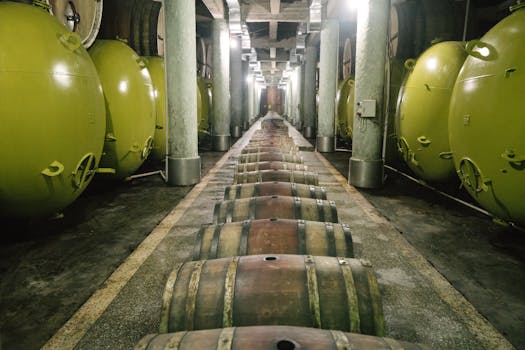 CVNE Compañía Vinícola del Norte de España wine cellar barrels Haro Rioja