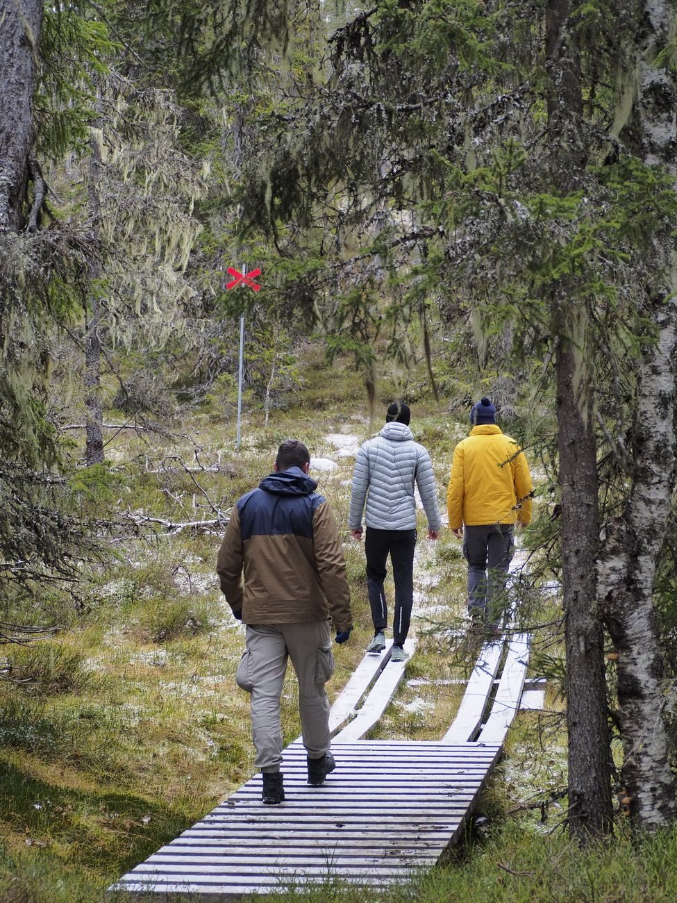 Wanderer auf dem Kungsleden-Weg überqueren offene Fjälle unter schneegestreiften Gipfeln