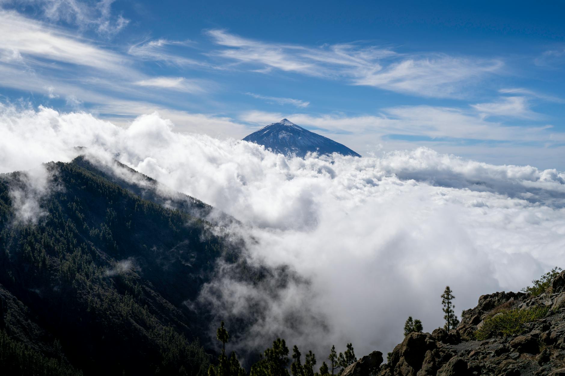 Mount Teide volcano rising above a sea of clouds in Tenerife