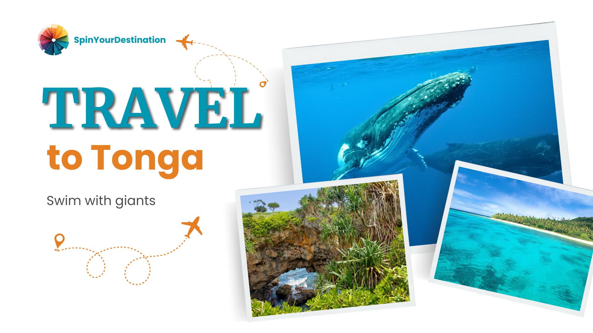 Tonga — video preview