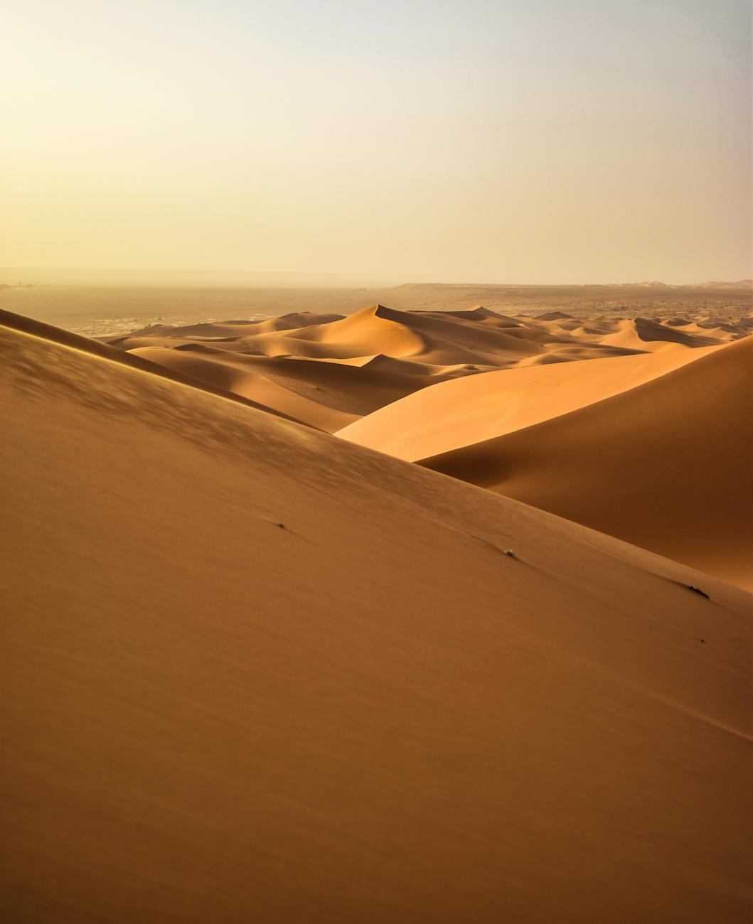 The Sahara and oasis towns in Tunisia