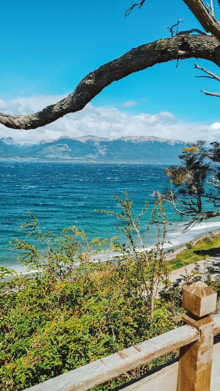 Coastal trail along the Beagle Channel shoreline inside the national park