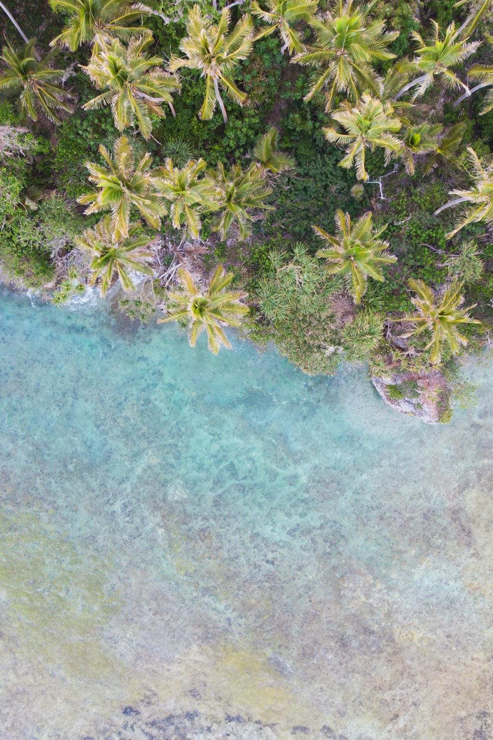 Aerial view of lush palm trees and clear blue waters along Vanuatu's coastline