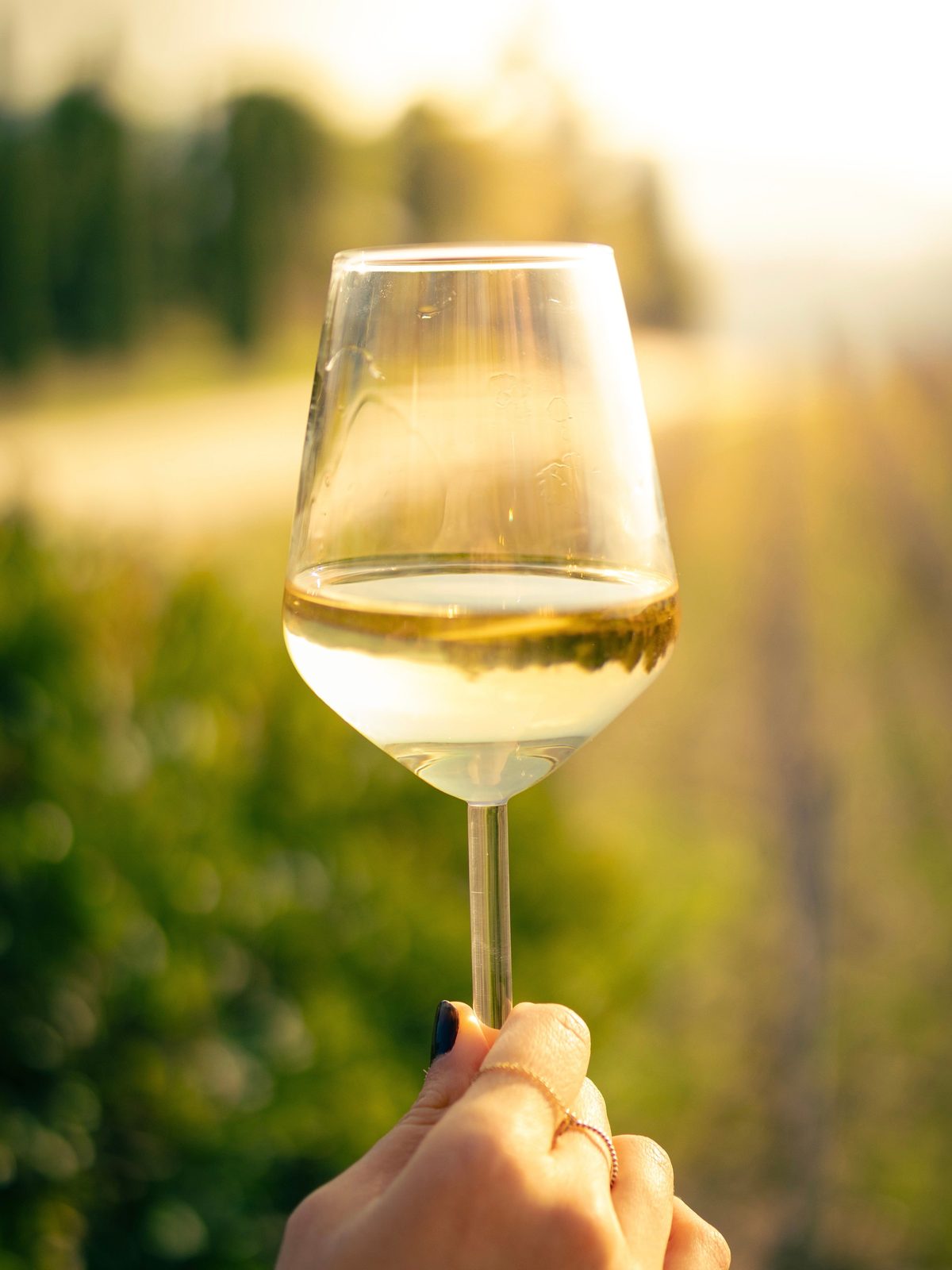 A glass of Austrian white wine in the vineyards