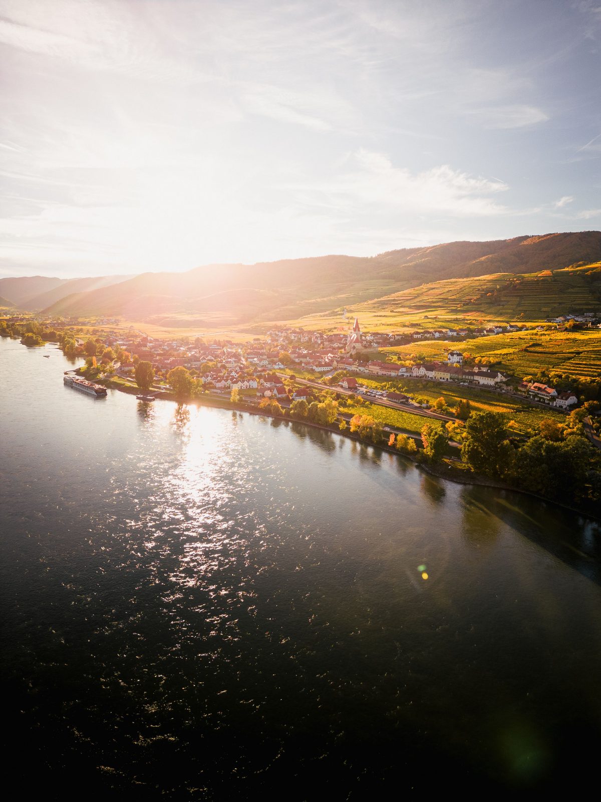 Terraced vineyards above the Danube in the Wachau