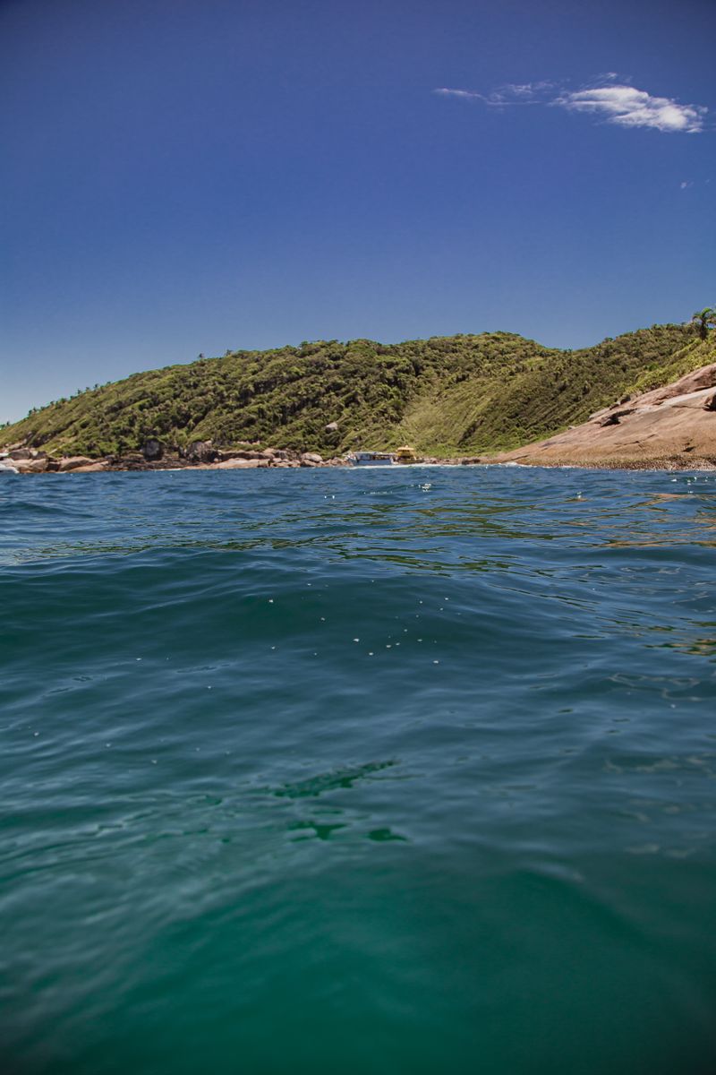 Lush green hills rolling down to the sea on South Africa's Wild Coast