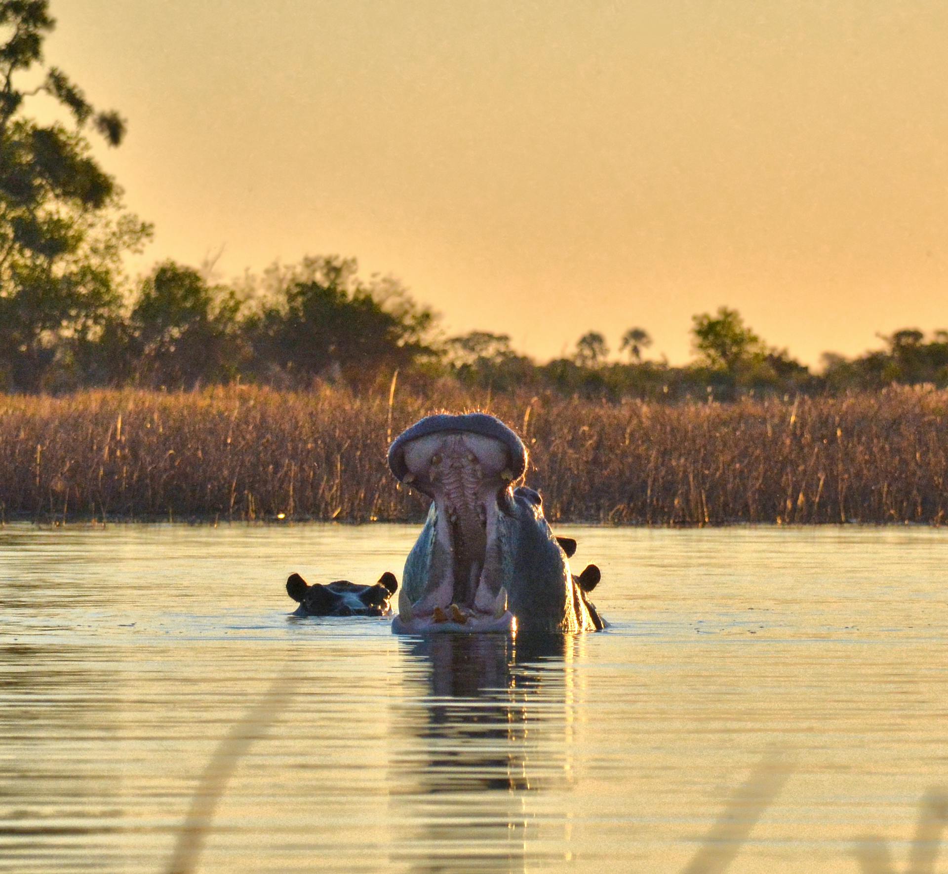 Botswana destination