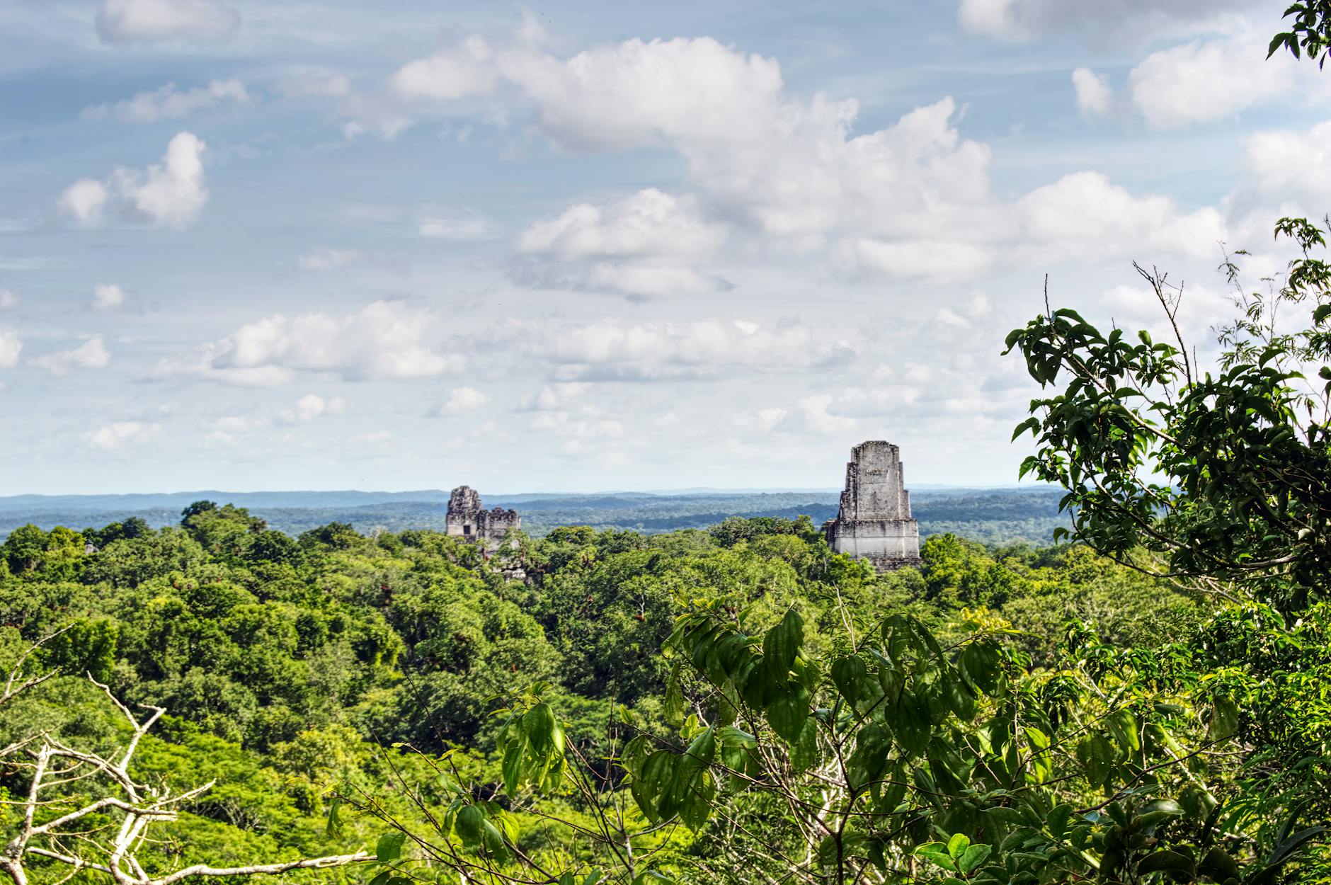 Tikal Maya temple ruins rising from jungle in Guatemala