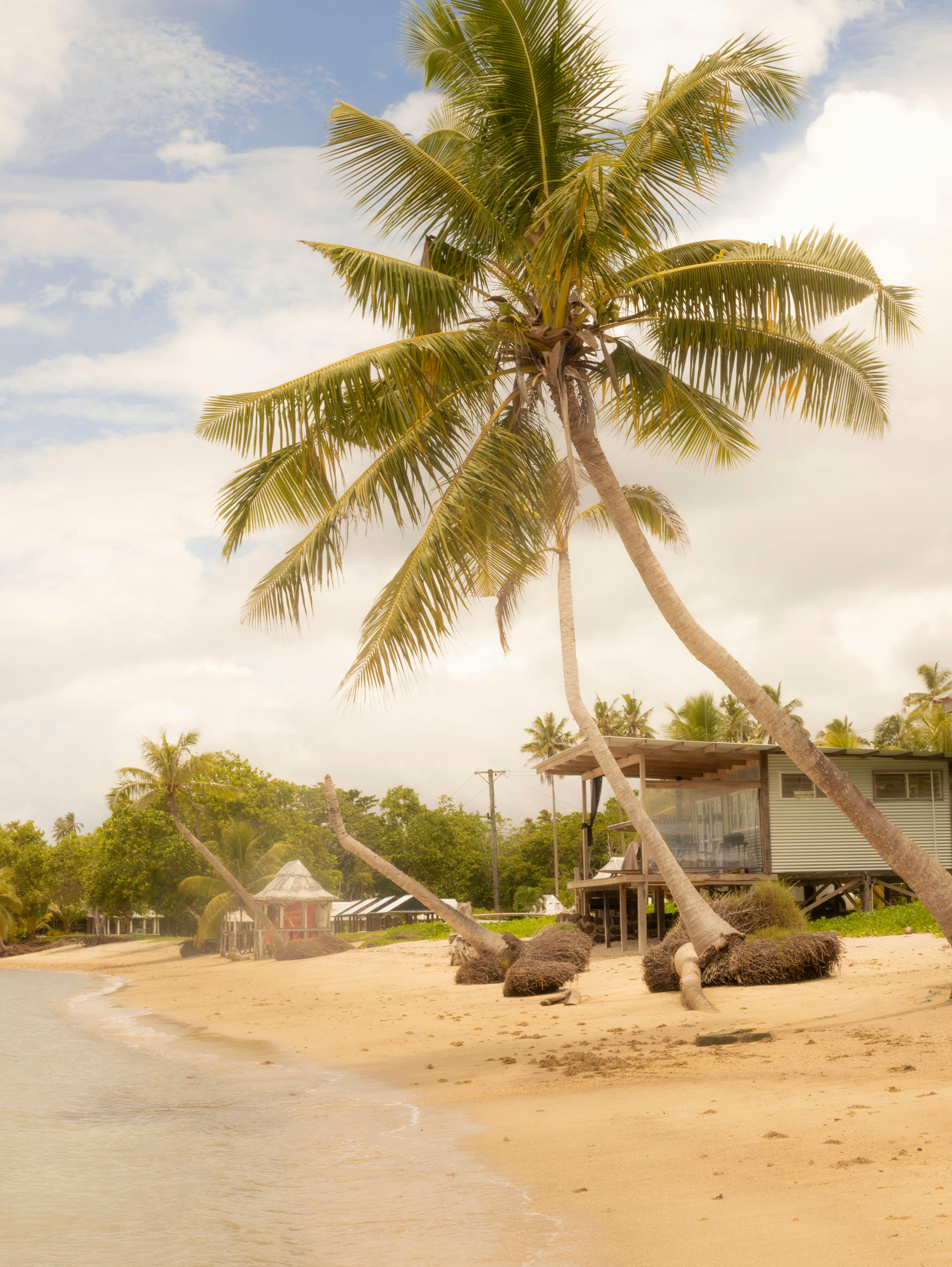 Serene beachfront in Samoa with palm trees and traditional huts under a blue sky