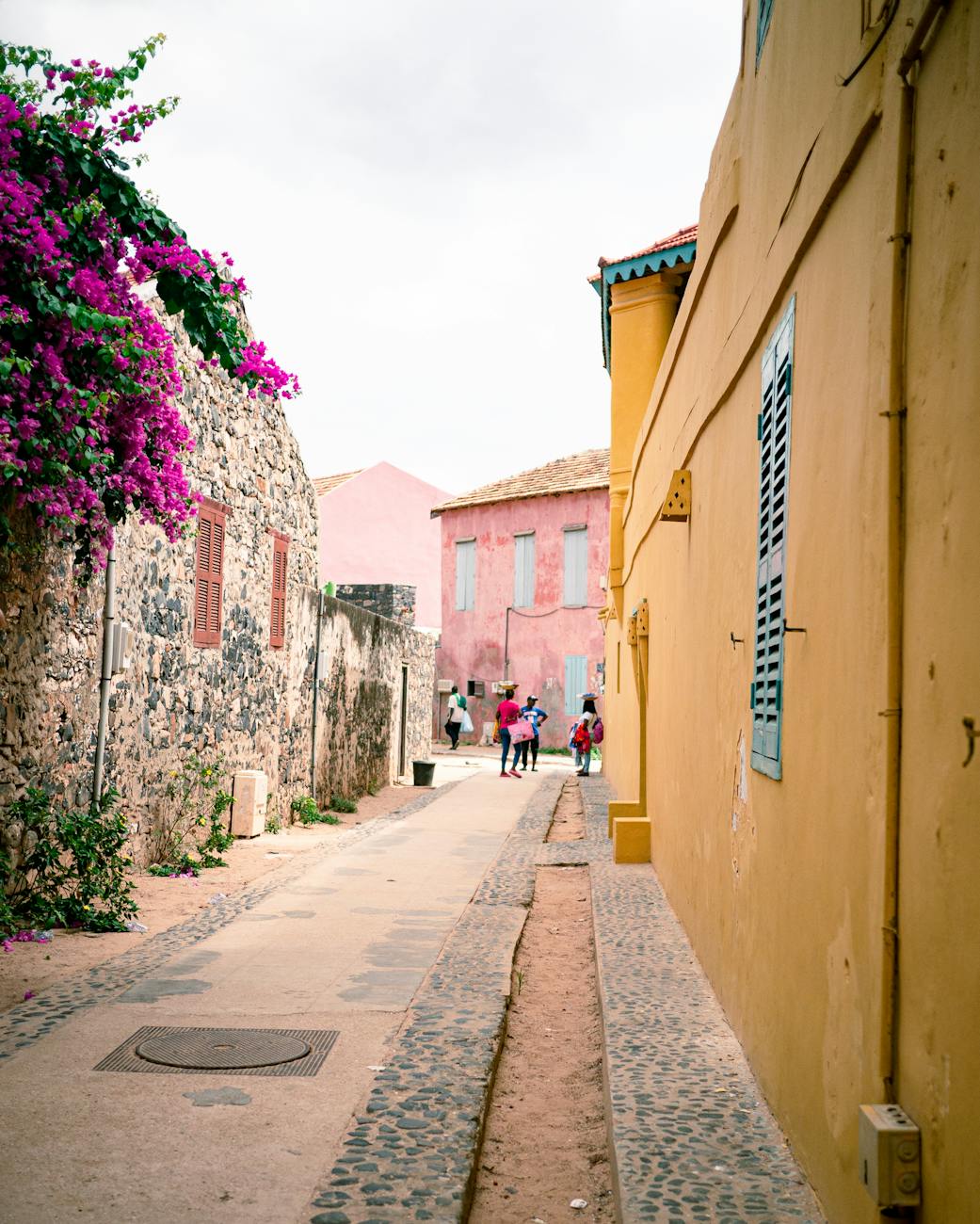 Charming alley with colorful buildings and bougainvillea in a Senegalese city street