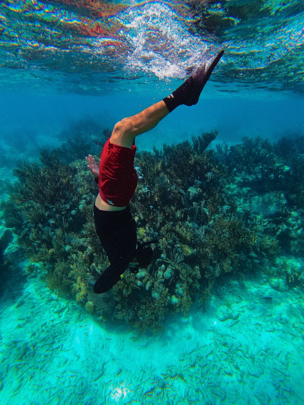 Red Sea coast—diving and beaches in Egypt