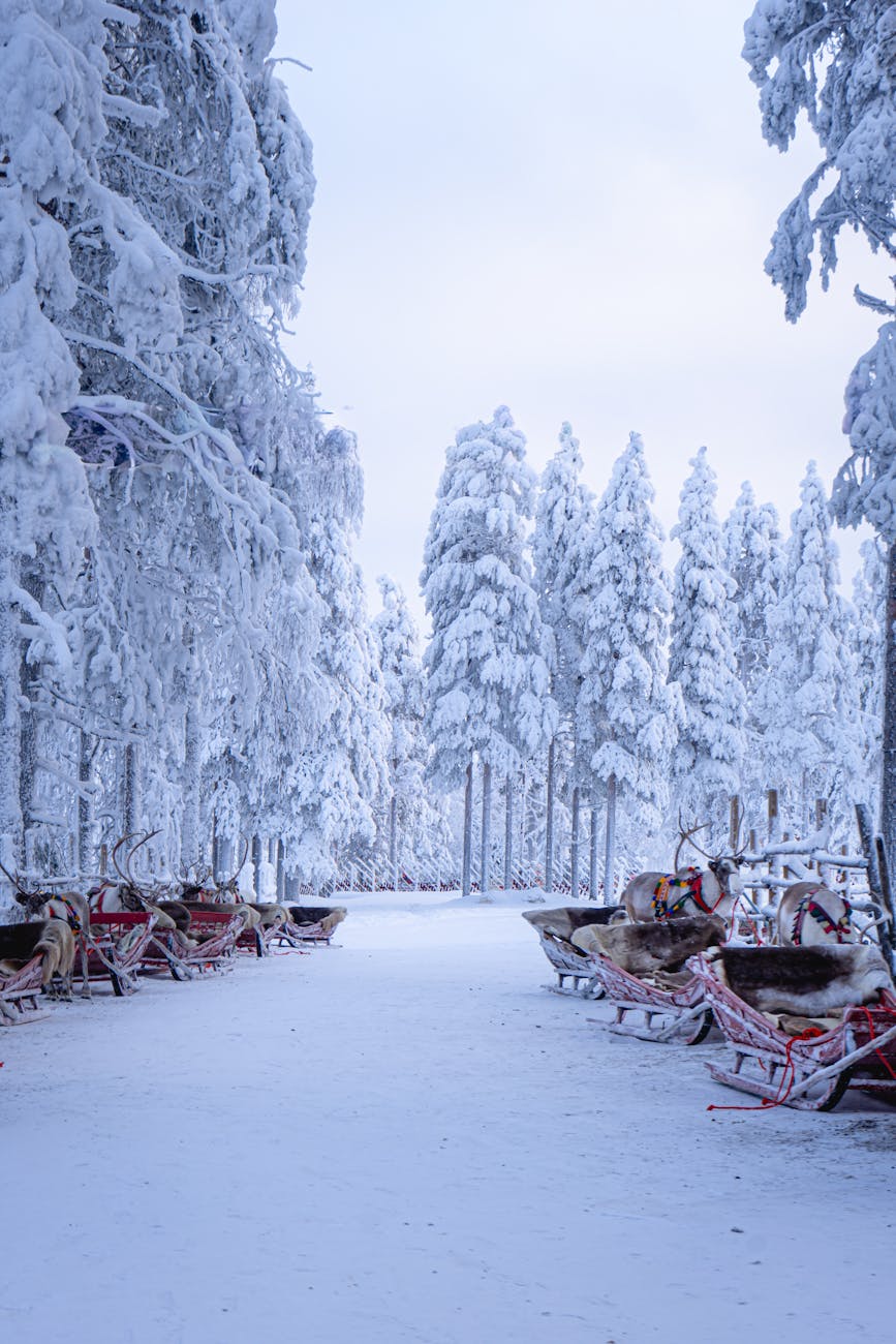 Lapland—northern lights and Santa in Finland