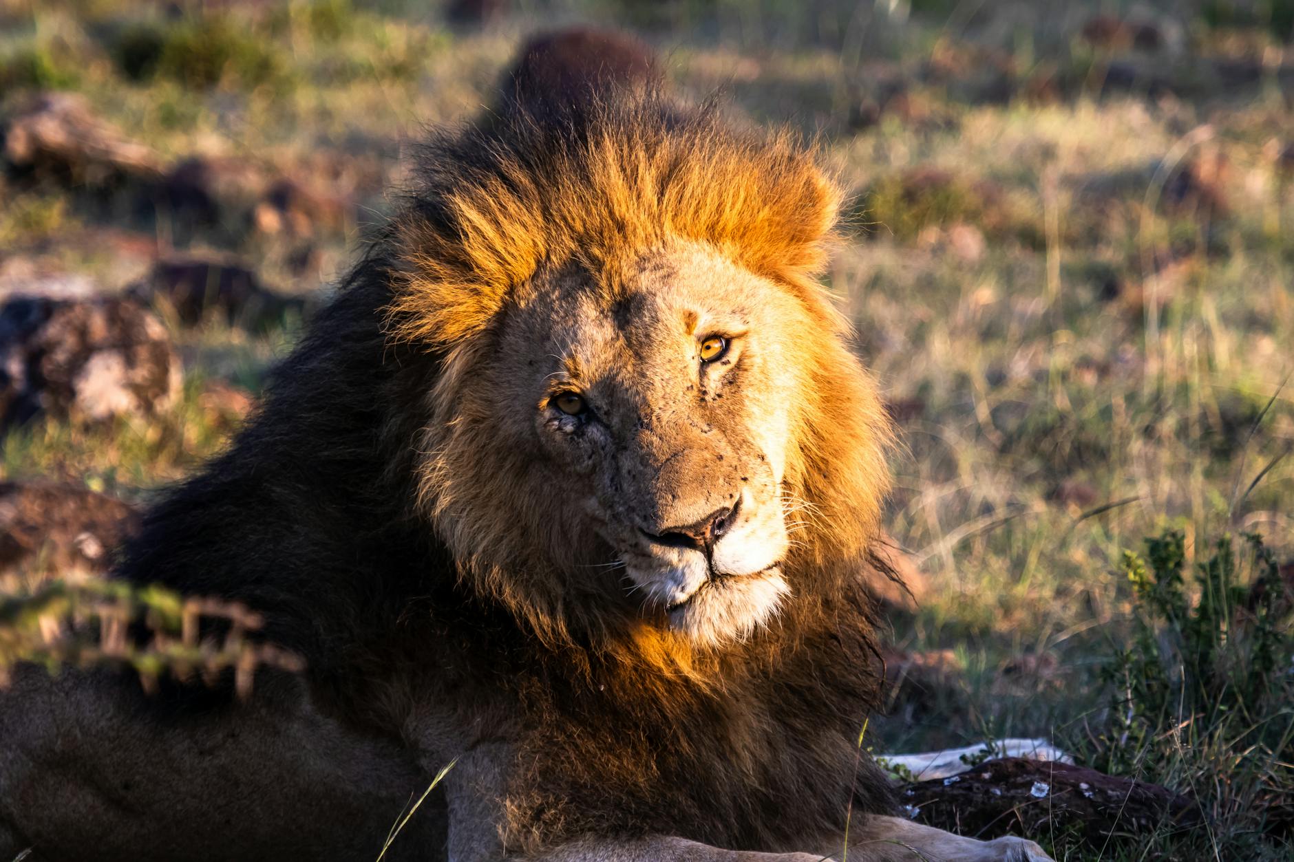 Kenya destination